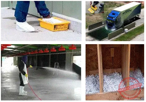 Biosecurity katika ufugaji wa kuku: sehemu ya pili