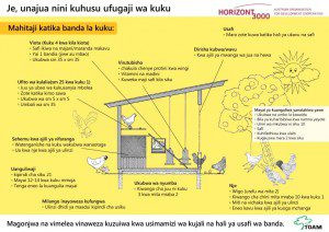 Je, unajua nini kuhusu ufugaji wa kuku?