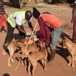 Adhimisha Siku ya Kichaa cha Mbwa Duniani: Pamoja Tuwape Magonjwa
